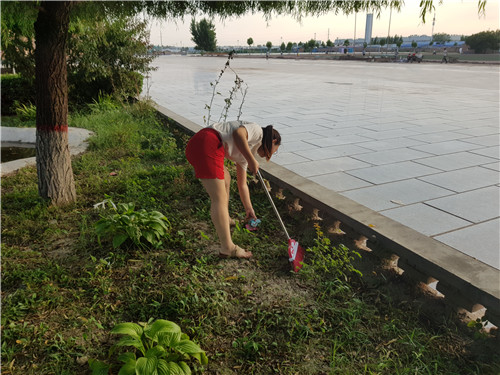 【美化校園】為迎接新生的到來，我院全體動員美化校園環(huán)境