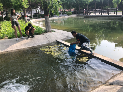 珍愛(ài)自然萬(wàn)物  共建和諧校園