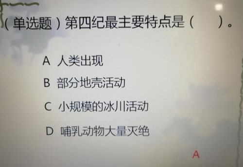 我的宅家日記——上網(wǎng)課的感受