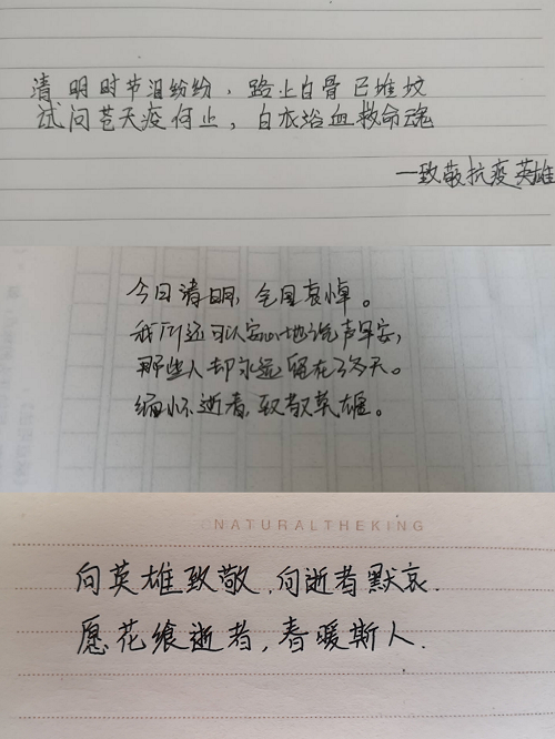 清明追思家國永念，致敬抗疫英雄一路走好