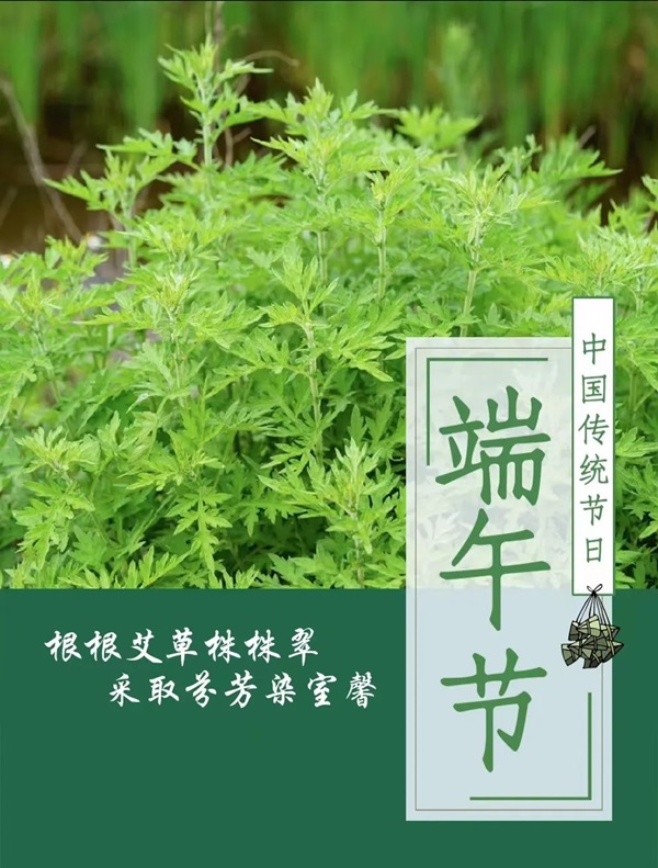 保定理工學院||管理學院||端午送福利 關(guān)懷沁人心——我院為教職工發(fā)放端午節(jié)禮品