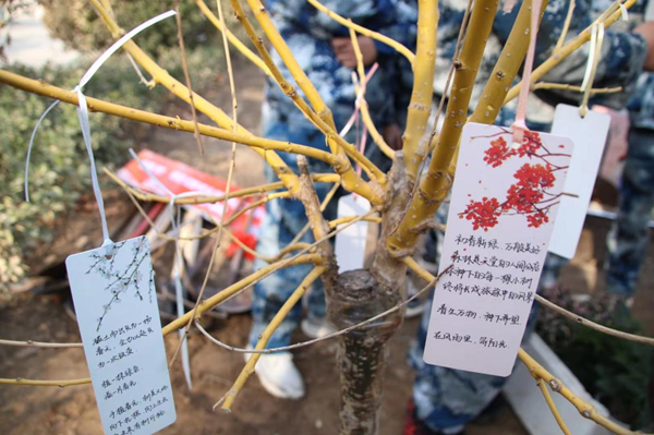 植樹節(jié)|管理學(xué)院|手植一抹綠，心栽一片林